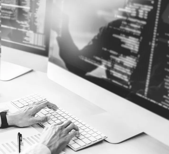 Software Development